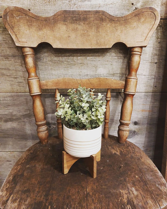 Artificial Eucalyptus Planted Pot on Wood Stand
