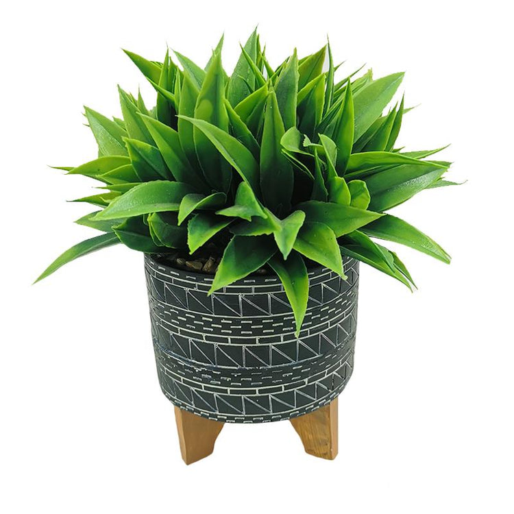 FOOTED PLANTER WITH PLANT