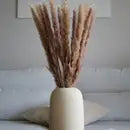 Small Pampas * SALE 50% OFF*