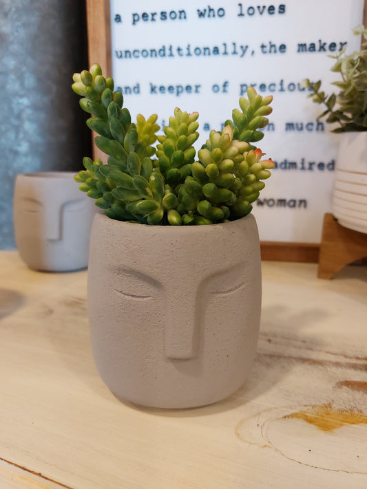 Small Face Planter *SALE 50% OFF* -  ONE LEFT!!
